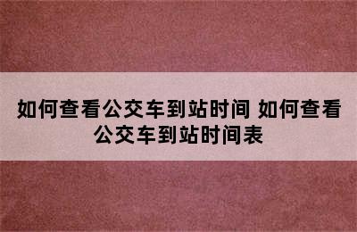 如何查看公交车到站时间 如何查看公交车到站时间表